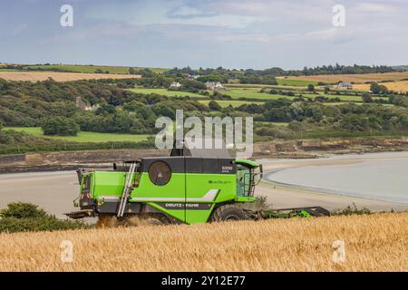 Récolte de l'orge de printemps à Harbour View, Kilbrittain, Co. Cork, septembre 2024 Banque D'Images