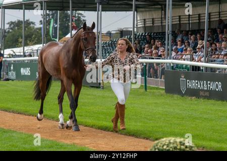 Stamford, Royaume-Uni. 4 septembre 2024. Pippa Funnell et MCS Maverick représentant la Grande-Bretagne lors de la première inspection des chevaux aux procès du Defender Burghley Horse Trials de 2024 qui se sont déroulés dans le domaine de Burghley House à Stamford, Lincolnshire, Angleterre, Royaume-Uni. Crédit : Jonathan Clarke/Alamy Live News Banque D'Images