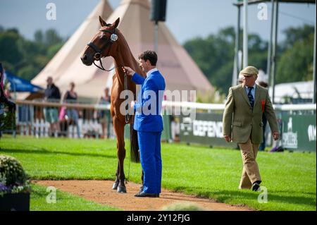 Stamford, Royaume-Uni. 4 septembre 2024. Harry Meade et Superstition représentant la Grande-Bretagne lors de la première inspection des chevaux aux procès du Defender Burghley Horse Trials de 2024 qui se sont tenus dans le domaine de Burghley House à Stamford, Lincolnshire, Angleterre, Royaume-Uni. Crédit : Jonathan Clarke/Alamy Live News Banque D'Images