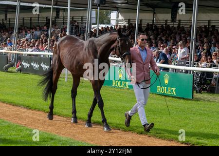 Stamford, Royaume-Uni. 4 septembre 2024. Alexander Bragg et Quindiva représentant la Grande-Bretagne lors de la première inspection des chevaux aux procès du Defender Burghley Horse Trials de 2024 qui se sont tenus dans le domaine de Burghley House à Stamford, Lincolnshire, Angleterre, Royaume-Uni. Crédit : Jonathan Clarke/Alamy Live News Banque D'Images