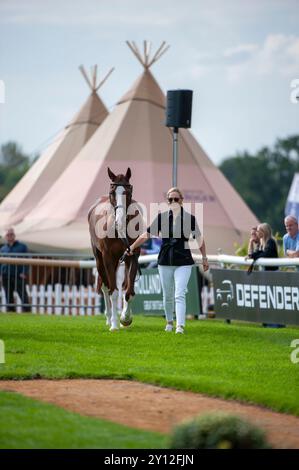 Stamford, Royaume-Uni. 4 septembre 2024. Zara Tindall et Class Affair représentant la Grande-Bretagne lors de la première inspection des chevaux aux procès du Defender Burghley Horse Trials de 2024 qui se sont tenus dans les terrains de Burghley House à Stamford, Lincolnshire, Angleterre, Royaume-Uni. Crédit : Jonathan Clarke/Alamy Live News Banque D'Images