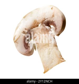 Tranche de champignon blanc avec tige sur fond blanc Banque D'Images