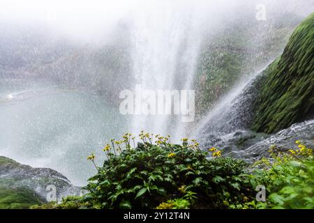 ANSHUN, CHINE - 19 MARS 2017 - (FILE) la cascade de Huangguoshu est vue dans la ville d'Anshun, province du Guizhou, Chine, 19 mars 2017. Banque D'Images