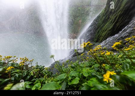 ANSHUN, CHINE - 19 MARS 2017 - (FILE) la cascade de Huangguoshu est vue dans la ville d'Anshun, province du Guizhou, Chine, 19 mars 2017. Banque D'Images