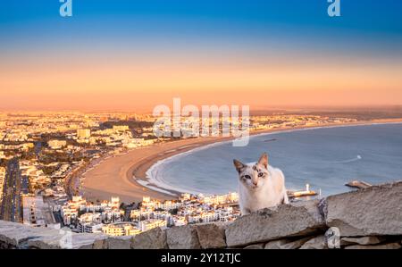 Agadir, Maroc au coucher du soleil. Vue panoramique sur la ville d'Agadir et la baie au sud du Maroc avec Marina, plage et océan depuis Oufla ou Casbah forteresse Banque D'Images