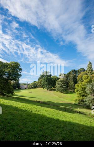 Terrain de cricket à Cockington, Devon Banque D'Images