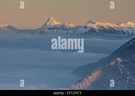 Pic de montagne au-dessus de haut brouillard dans la lumière du soir, hiver, neige, vue de Laber à Guffert, Alpes d'Ammergau, haute Bavière, Bavière, Allemagne, Europe Banque D'Images