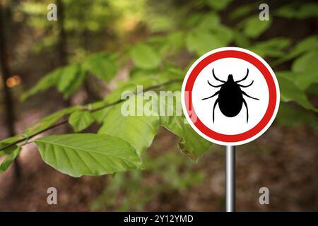 Signe d'avertissement d'insecte de tique dans la forêt naturelle. Maladie de Lyme et transmetteur de méningo-encéphalite à tiques Banque D'Images