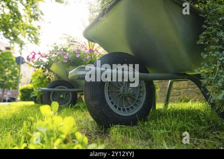 Gros plan de brouette avec des plantes à fleurs sur une prairie verte, Nagold, Forêt Noire, Allemagne, Europe Banque D'Images