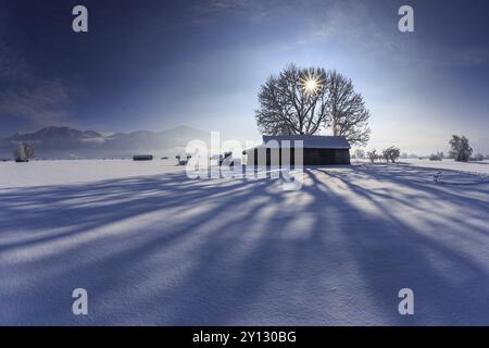 Cabane avec de longues ombres dans le contre-jour en face des montagnes, neige, hiver, ensoleillé, Schlehdorf, contreforts alpins, haute-Bavière, Bavière, Allemagne, Euro Banque D'Images