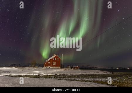 aurores boréales vertes et violettes au-dessus d'une maison rouge sur la côte, aurores boréales, hiver, neige, Repparfjord, Finnmark, Norvège, Europe Banque D'Images