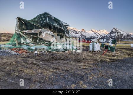 Bâtiment détruit après une tempête violente, janvier 2024, changement climatique, Fredvang, Moskenesoya, Lofoten, Norvège, Europe Banque D'Images