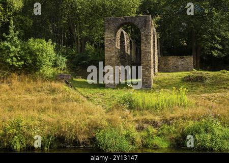 Un ascenseur de barge est une structure de descente, une forme plus ancienne d'ascenseur de navire. Dans les canaux qui ont dû surmonter les différences de hauteur dans le paysage, barge Li Banque D'Images