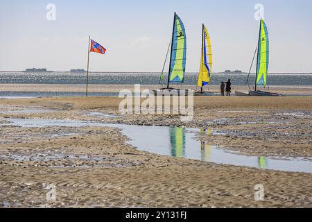 Petits voiliers sur la plage, catamaran, derrière Halligen, contre-jour, ensoleillé, été, île de la mer du Nord Foehr, Schleswig-Holstein, Allemagne, Europe Banque D'Images