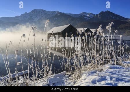 Cabanes de bateau dans la lumière du matin en face des montagnes, lac, neige, hiver, brouillard, lac Kochel, contreforts alpins, Bavière, Allemagne, Europe Banque D'Images