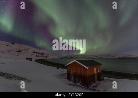 aurores boréales vertes et violettes au-dessus d'une maison rouge sur la côte, aurores boréales, hiver, neige, Repparfjord, Finnmark, Norvège, Europe Banque D'Images