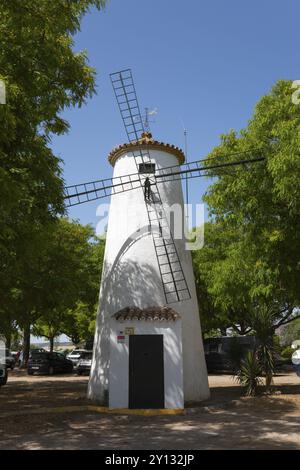 Moulin à vent traditionnel blanc avec des ailes noires sous des arbres ombragés par une journée ensoleillée, moulin à vent à Lago de Arcos, Arcos de la Frontera, Cadix, Cadix, Andalousie Banque D'Images