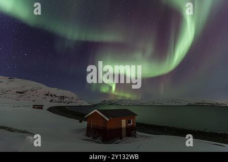 aurores boréales vertes et violettes au-dessus d'une cabane rouge sur la côte, aurores boréales, hiver, neige, Repparfjord, Finnmark, Norvège, Europe Banque D'Images