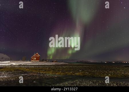 aurores boréales vertes et violettes au-dessus d'une maison rouge sur la côte, aurores boréales, hiver, neige, Repparfjord, Finnmark, Norvège, Europe Banque D'Images