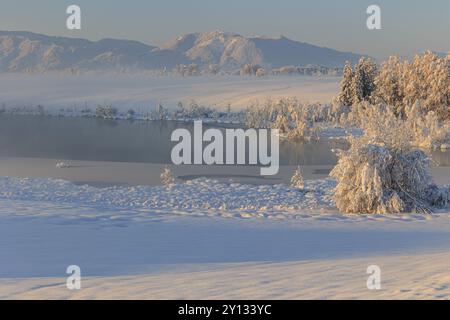 Lac en face des montagnes dans la lumière du matin, brouillard, neige, hiver, Riegsee, vue de Hoernle, contreforts des Alpes, haute-Bavière, Bavière, Allemagne, Banque D'Images