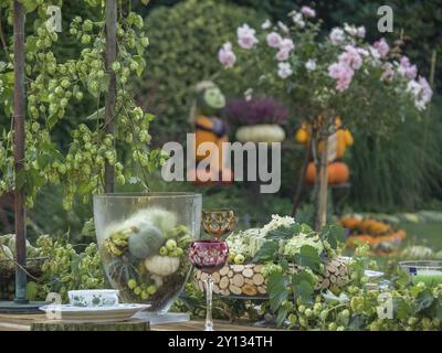 Une décoration de table automnale avec des citrouilles, des fleurs et un pot plein de matériaux naturels dans le jardin, borken, muensterland, allemagne Banque D'Images