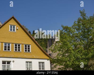 Petite maison avec façade jaune et tuiles rouges à côté d'un arbre vert et sous un ciel bleu, Forêt Noire, Bade-Wuertemberg, Allemagne, Europe Banque D'Images