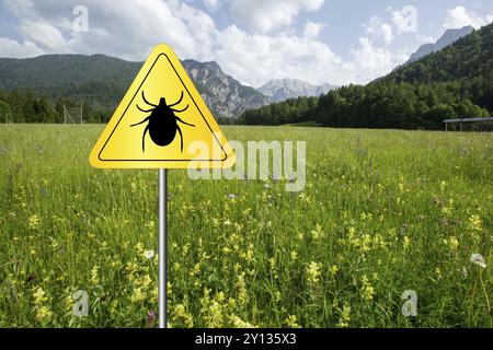 Signe d'avertissement d'insecte de tique sur prairie infectée. Maladie de Lyme et transmetteur de méningite Banque D'Images