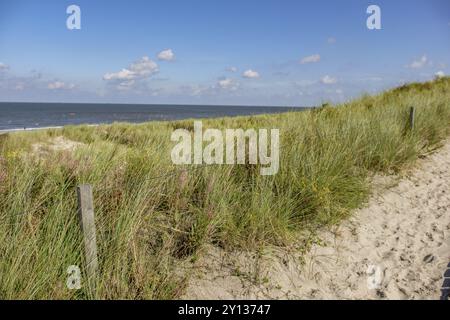 Sentier à travers les dunes avec l'herbe et le sable sur la plage, ciel bleu et mer au loin, Spiekeroog, Frise orientale, mer du Nord, Allemagne, Europe Banque D'Images