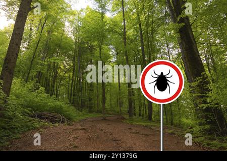 Signe d'avertissement d'insecte de tique dans la forêt naturelle. Maladie de Lyme et transmetteur de méningo-encéphalite à tiques Banque D'Images