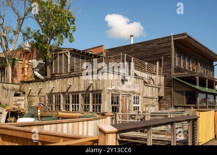 Historic Georgetown, Caroline du Sud, offre des magasins de détail intéressants, des cafés, des restaurants, des bars et des activités nautiques. Banque D'Images