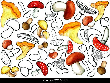 Un ensemble de différents types de champignons. Dessin de contour noir ou avec remplissage aquarelle. Différentes formes et tailles. Chaotiquement situé sur un BA blanc Banque D'Images