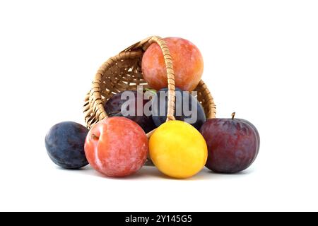 Une variété de prunes vives et fraîches se déversant d'un panier tissé sur un fond blanc, mettant en valeur la diversité dans les couleurs et la texture pour manger sain a Banque D'Images