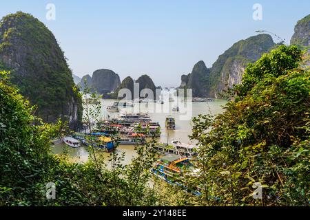 Quai de bateau à surprise Grotto aka Hang Sung Sot dans la baie de Ha long, Quang Ninh, Vietnam. Banque D'Images