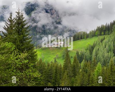 Une vue sur la ferme depuis la route panoramique Solcava, Slovénie, Europe Banque D'Images