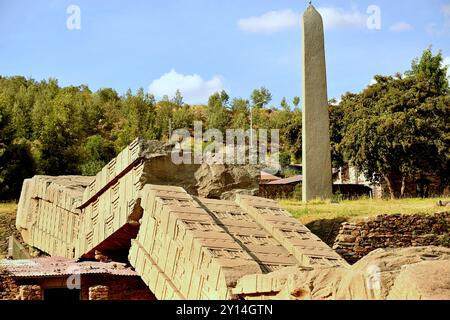 Ethiopie,Axoum,ville située dans la région du Tigré,les mille stèles d'Axoum ont honoré les dirigeants décédés et les nobles de la ville Banque D'Images