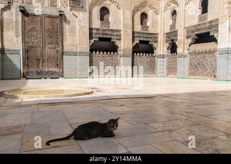 Cour intérieure de la Medrassa El Bouanania à Fès Banque D'Images