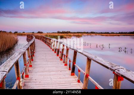 Allées au lever du soleil, Parc National des Tablas de Daimiel, Ciudad Real, Castilla-la Mancha, Espagne, Europe. Banque D'Images