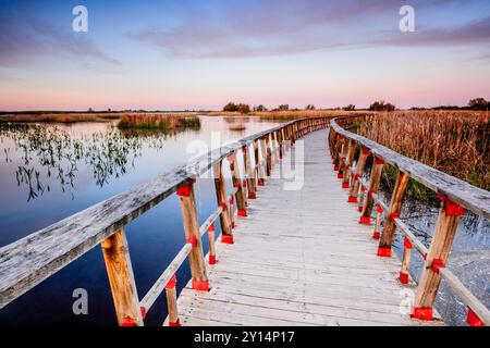 Allées au lever du soleil, Parc National des Tablas de Daimiel, Ciudad Real, Castilla-la Mancha, Espagne, Europe. Banque D'Images