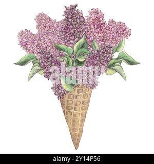 Un ensemble de fleurs de lilas violettes dans un cône de gaufre isolé sur un fond blanc, un bouquet de lilas, une branche de lilas fleurie avec des feuilles. Aquarelle Banque D'Images