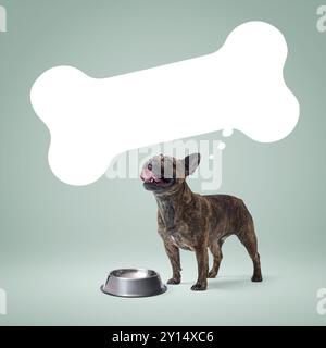 Heureux bouledogue français affamé debout à côté d'un bol vide et d'un ballon de parole en forme d'os Banque D'Images