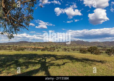 Un vaste paysage rural se déploie avec de douces collines ondulantes sous un ciel bleu vif parsemé de nuages blancs moelleux. La verdure luxuriante suggère une sére Banque D'Images