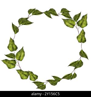 Cadre rond aquarelle de branches vertes délicates isolent sur un fond blanc. Couronne de feuilles pour la conception d'invitations, de cartes et d'étiquettes. Banque D'Images