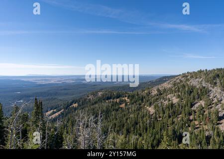 Vue imprenable depuis le sommet du mont Washburn surplombant le parc national de Yellowstone. Banque D'Images