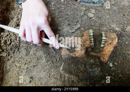 Quedlinburg, Allemagne. 05th Sep, 2024. Un crâne est découvert par un archéologue sur le site de fouille. Des fouilles archéologiques par le Bureau d'État de Saxe-Anhalt pour la préservation des monuments et l'archéologie (LDA) ont actuellement lieu sur l'ancienne colline de potence. Il existe des preuves historiques de la potence sur l'actuel Galgenberg sur Lehofsweg depuis 1662. De nombreuses découvertes de squelettes humains et de parties de squelettes prouvent qu'une haute juridiction a été exercée sur ce site, abandonné en 1809. Les résultats et les découvertes ont été présentés aujourd'hui. Crédit : Matthias Bein/dpa/Alamy Live News Banque D'Images