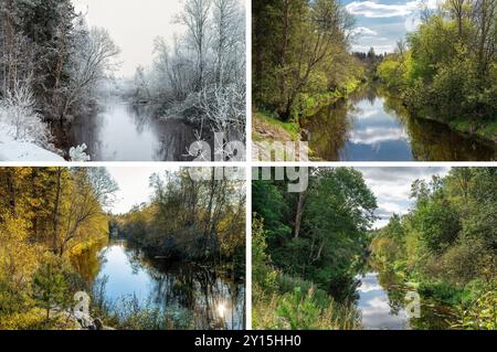 Beau collage de 4 saisons toute l'année, photos différentes mais même lieu d'une rivière en pleine nature. Hiver, printemps, été et automne. Banque D'Images