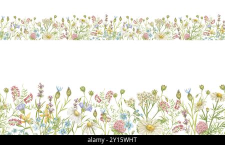 Aquarelle frontière sans couture avec des fleurs sauvages de trèfle, marguerites, lin et autres. Modèle sans couture pour textiles, cartes postales, papeterie, ruban adhésif, verre Banque D'Images
