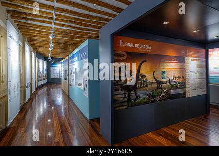 Laboratoire, Centre paléontologique, Enciso, la Rioja, Espagne, Europe. Banque D'Images