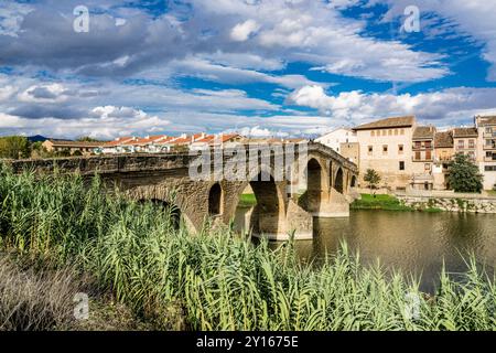 Pont roman sur la rivière Arga, XIe siècle, Puente la Reina, vallée de Valdizarbe, communauté autonome de Navarre, Espagne. Banque D'Images