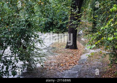 Milan, Italie. 05th Sep, 2024. Milan, les inondations de la rivière Lambro après la pluie et le mauvais temps. Sur la photo : The Floded Lambro Park crédit : Independent photo Agency Srl/Alamy Live News Banque D'Images