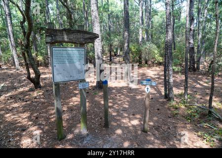 Corolla, Caroline du Nord - 1er septembre 2024 : panneau de départ du sentier de randonnée maritime à la réserve de Currituck Banks Banque D'Images